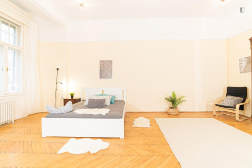 Cosy double bedroom near Oktogon metro
