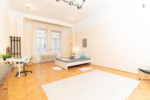 Cosy double bedroom near Oktogon metro