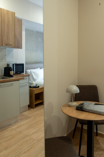 Luxurius studio in Piraeus  - Gallery -  5
