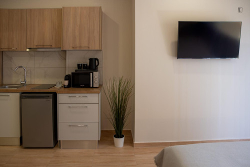 Exquisite studio in Piraeus