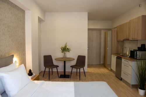 Exquisite studio in Piraeus