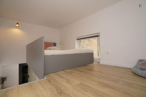 Charming Studio in Terézváros