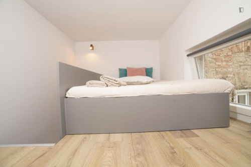 Charming Studio in Terézváros