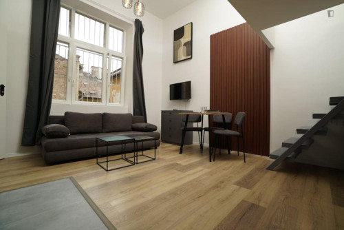 Pleasant Studio near Heroes' Square
