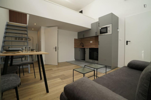 Pleasant Studio near Heroes' Square - Gallery - 6