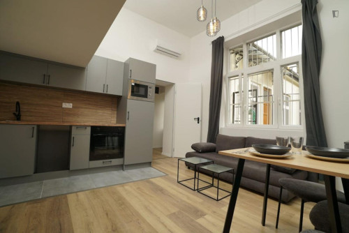Pleasant Studio near Heroes' Square - Gallery - 7