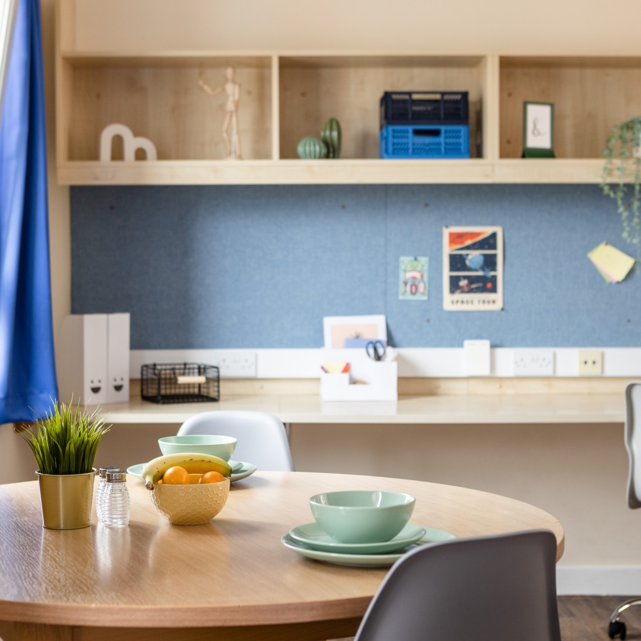  Gold Deluxe Studio  -  McMillan  - Gallery -  1