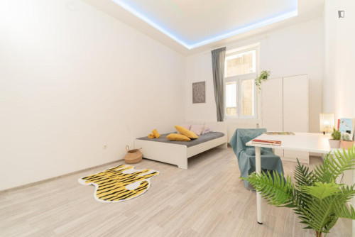 Charming 1-bedroom apartment in Víziváros