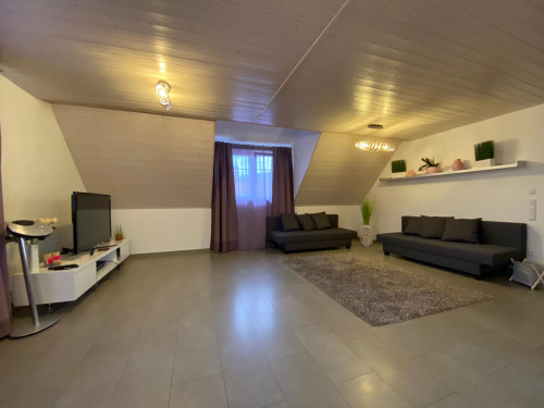 Charming & wonderful suite in Sinsheim