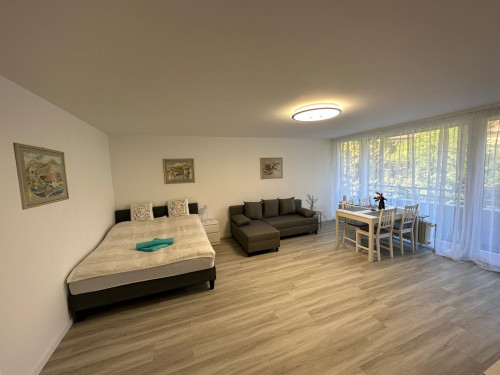Lovely and amazing studio with swimming pool and park - Gallery - 2