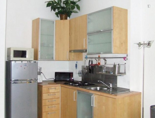 Very nice studio apartment in Quartiere Saragozza, Bologna