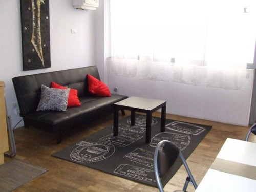 Very nice studio apartment in Quartiere Saragozza, Bologna