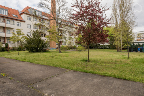 Luxurious and quiet apartment (new in 2023)