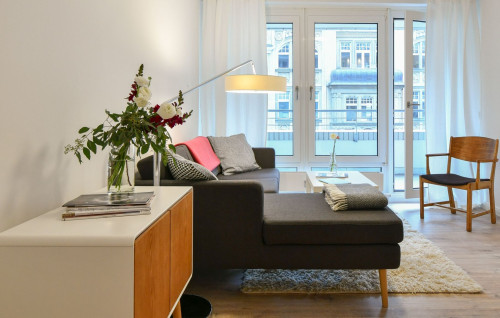 Fully furnished cosy apartment in Berlin Mitte with high quality equipment