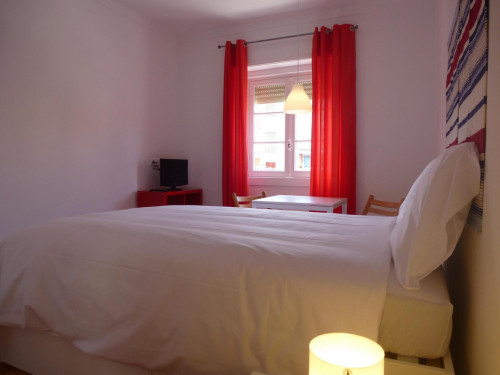 Homely 1-bedroom apartment in Conchada neighbourhood - Gallery - 5