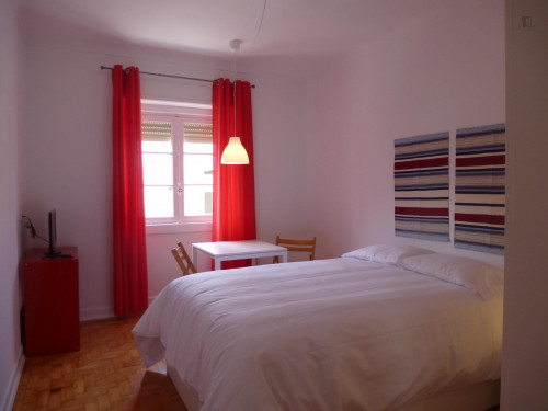 Homely 1-bedroom apartment in Conchada neighbourhood - Gallery - 7