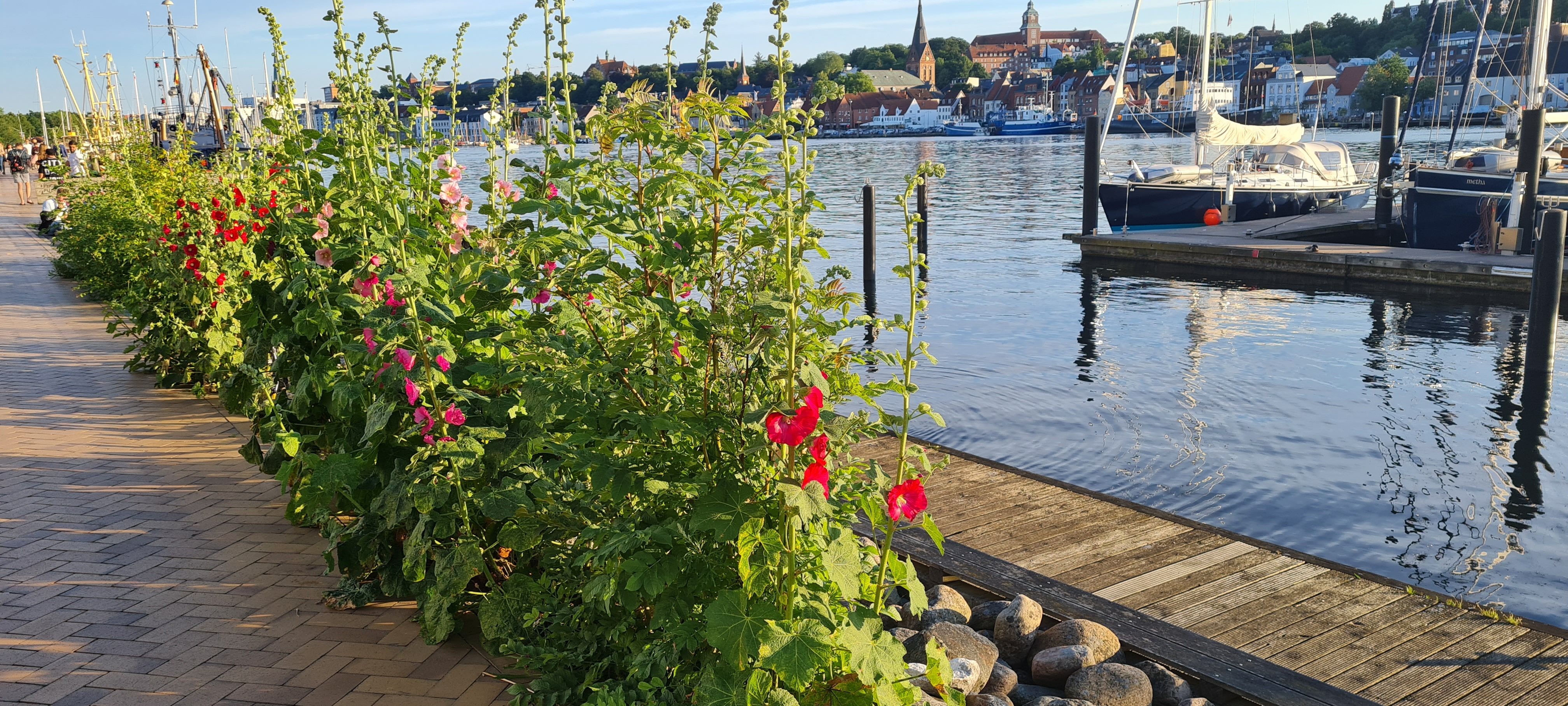  Comfortable, Bright, Cozy Temporary Home In Flensburg  -  Comfortable, bright, cozy temporary home in Flensburg  - Gallery -  11