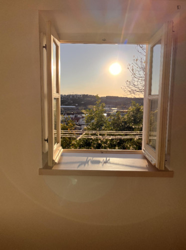 Cozy Studio close to University - Gallery - 25
