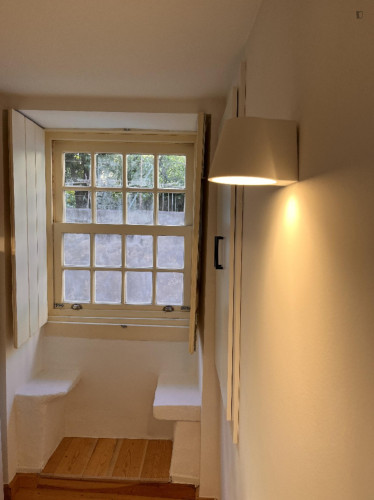 Cozy Studio close to University - Gallery - 15