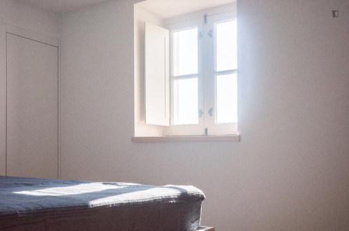 Cozy Studio close to University