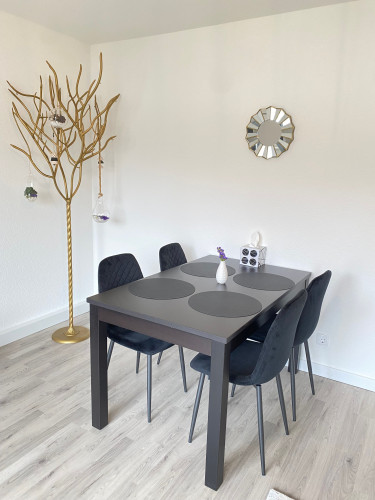 Newly renovated and modern furnished two bedroom apartment in central location