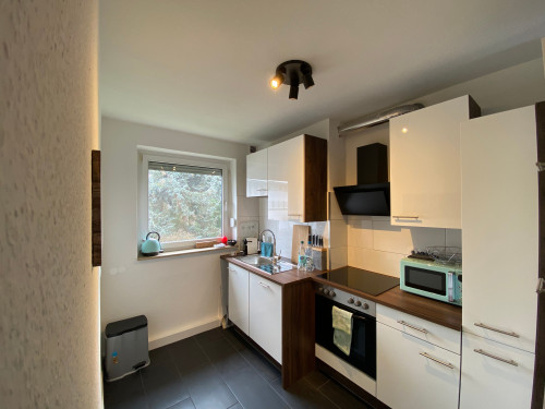 Newly renovated and modern furnished two bedroom apartment in central location - Gallery - 10