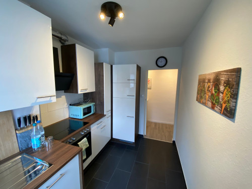 Newly renovated and modern furnished two bedroom apartment in central location - Gallery - 12