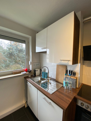 Newly renovated and modern furnished two bedroom apartment in central location - Gallery - 11