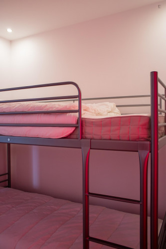 Homely 1-bedroom annex flat in Conchada neighbourhood - Gallery - 15