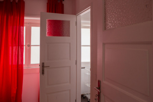 Homely 1-bedroom annex flat in Conchada neighbourhood - Gallery - 9