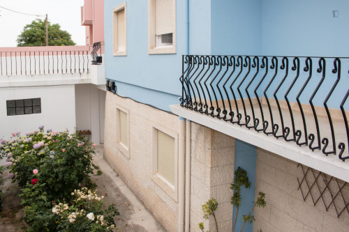 Homely 1-bedroom annex flat in Conchada neighbourhood - Gallery - 2
