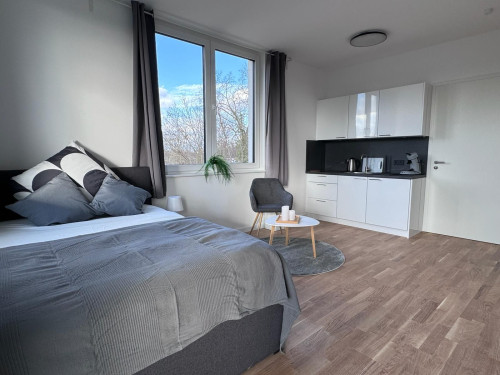 Ultra-modern cozy apartment in Steglitz