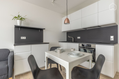 All new apartment in Mannheim with large terrace - Gallery - 17