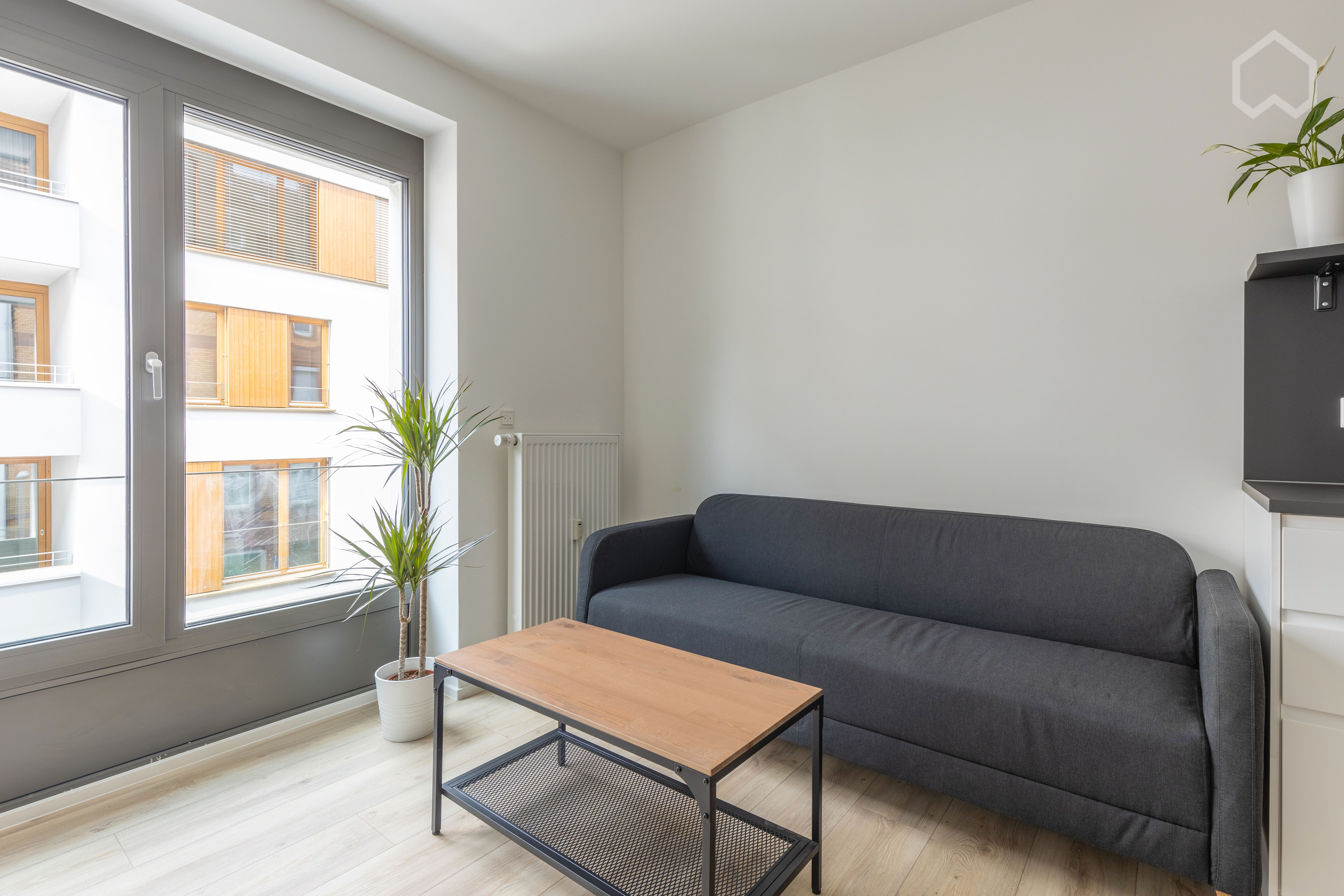 All New Apartment In Mannheim With Large Terrace - 19