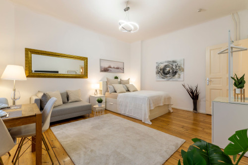 Modern furnished one-room apartment in Gesundbrunnenkiez