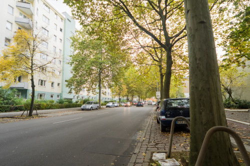 Perfect & amazing studio flat near Bellevue palace