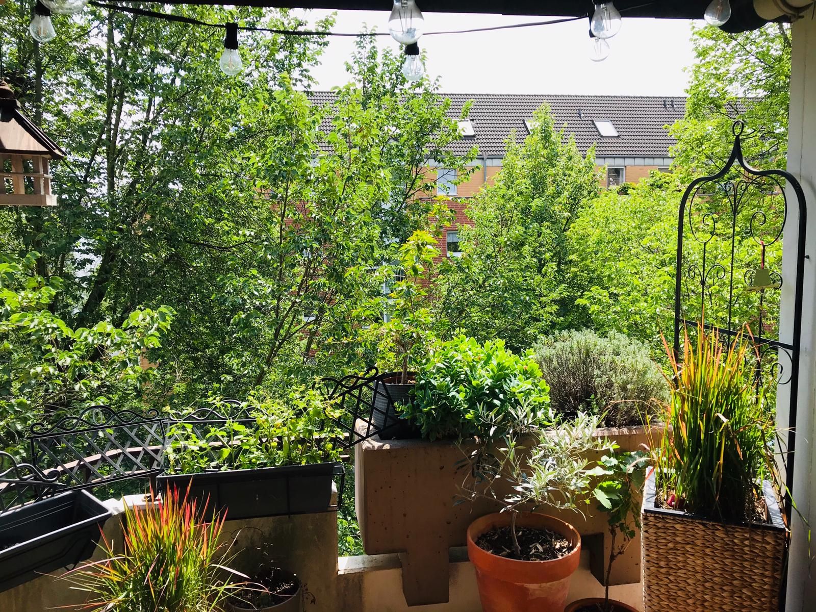  Fashionable, Cute Home In The Heart Of Town  -  Fashionable, cute home in the heart of town  - Gallery -  2