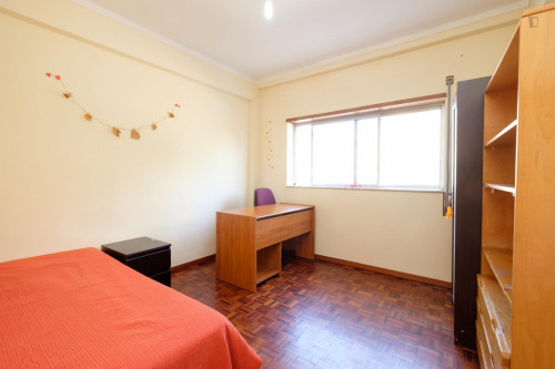 Modern Studio with Wi-Fi and Central Heating in Solum, Coimbra - Gallery - 21