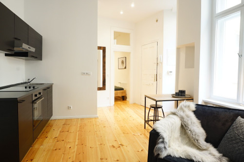 Stylish furnished apartment in great location (Berlin-Mitte/Schöneberg)