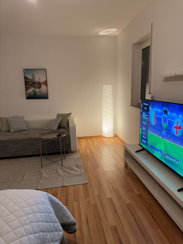 Gorgeous & lovely flat in Alzey