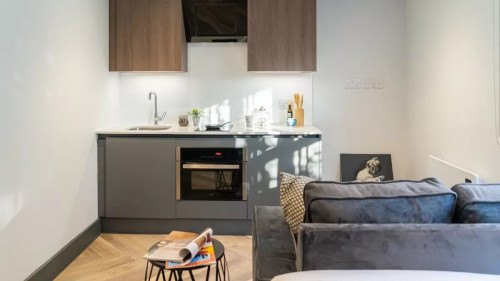 Piccadilly Village  - Gallery -  4