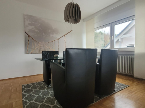 Fully furnished modern apartment in Vallendar with balcony - Gallery - 46