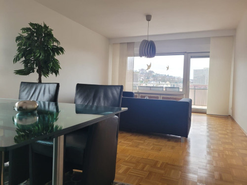 Fully furnished modern apartment in Vallendar with balcony - Gallery - 33