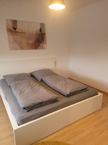 Fully furnished modern apartment in Vallendar with balcony - Gallery - 43