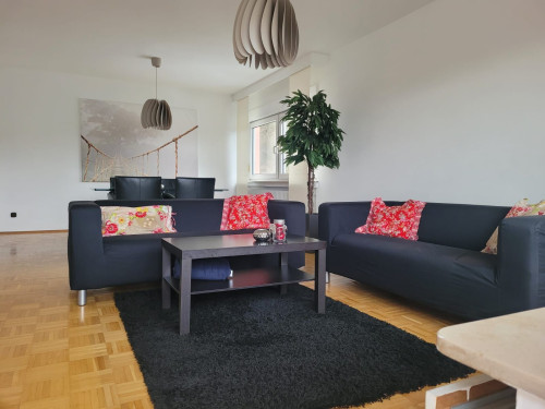 Fully furnished modern apartment in Vallendar with balcony - Gallery - 52