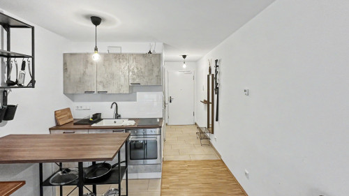 Gorgeous and fashionable flat in Dresden  - Gallery -  5