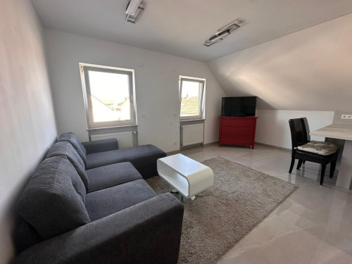 New Luxury Apartment in Kleinostheim - Gallery - 15