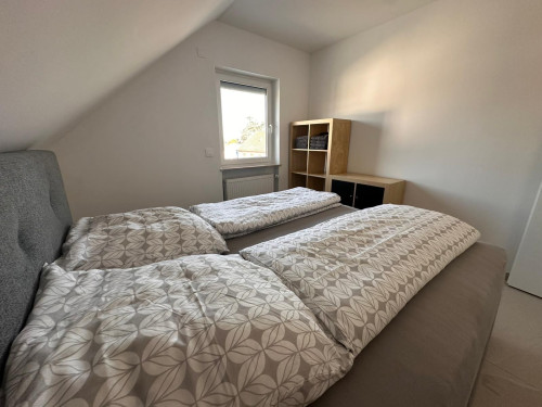 New Luxury Apartment in Kleinostheim - Gallery - 8