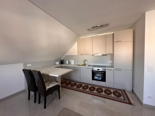 New Luxury Apartment in Kleinostheim - Gallery - 12