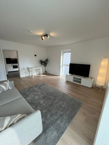 Bright, newly renovated apartment with smart home features & luxury bed – first occupancy